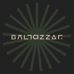 A profile image of BALTAZZAR